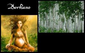 Berkano (ELEMIAH VOYANCE 08 99 96 90 99) Berkano (ELEMIAH VOYANCE 08 99 96 90 99)