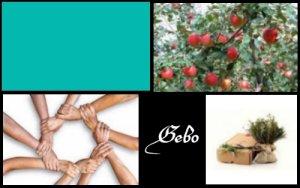 Gebo (ELEMIAH VOYANCE 08 99 96 90 99) Gebo (ELEMIAH VOYANCE 08 99 96 90 99)