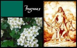 Ingwaz (ELEMIAH VOYANCE 08 99 96 90 99) Ingwaz (ELEMIAH VOYANCE 08 99 96 90 99)