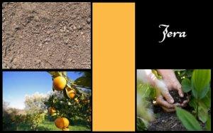 Jera (ELEMIAH VOYANCE 08 99 96 90 99) Jera (ELEMIAH VOYANCE 08 99 96 90 99)