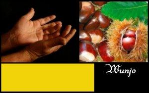 Wunjo (ELEMIAH VOYANCE 08 99 96 90 99) Wunjo (ELEMIAH VOYANCE 08 99 96 90 99)